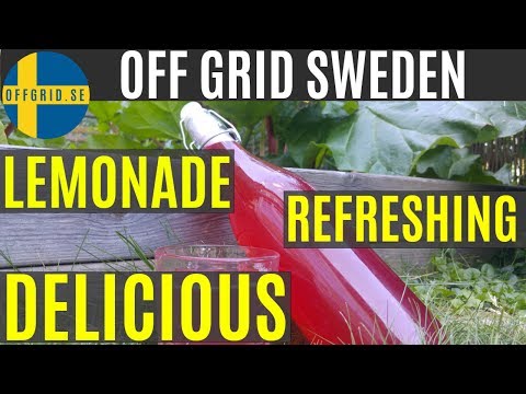 How to make Rhubarb Lemonade — SUPER DELICIOUS & REFRESHING