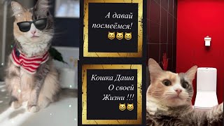 Очень смешное видео с Мариной Кравец🫶🏼❤️😽 #смешно #приколы