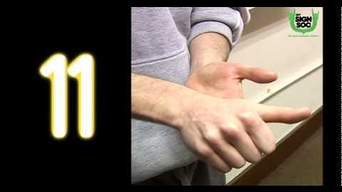 Numbers 1 to 20 in Irish Sign Language (ISL)