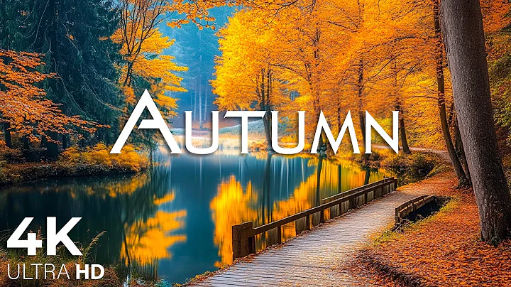 11 HOURS of 4K Enchanting Autumn Nature Scenes + Relaxing Piano Music for Stress Relief