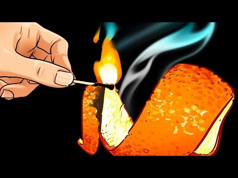 Loại bỏ bất kỳ mùi hôi nào trong nhà của bạn