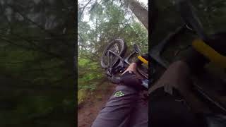 Come here you big tree you #mountainbike #ladybower #gopro #downhill