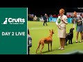 Day 2 Live | Crufts 2022