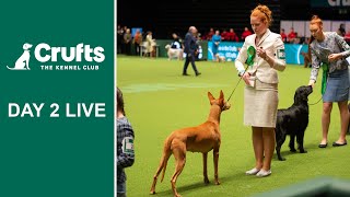 Day 2 Live | Crufts 2022