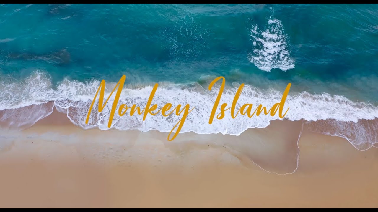 เกาะสมุย สวรรค์แห่งหาดทรายขาว มะพร้าว…และเจ้าถิ่น