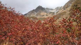 奥穂高岳登山　2日目    (2011/1014)