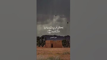 #سورة_عبس #القارئ محمد أيوب #رحمه الله