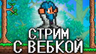 ТЕРРАРИЯ, Но ЭТО ПЕРВЫЙ СТРИМ С ВЕБКОЙ! TERRARIA