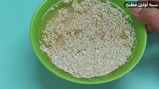 طريقة طبخ الكينوا بديل الارز