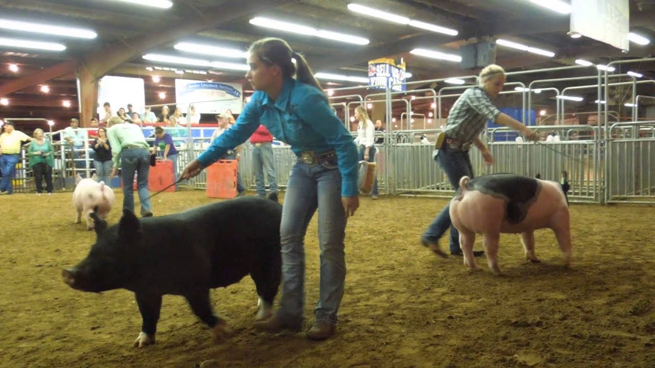 Fort Bend County Fair and Livestock Show 2015