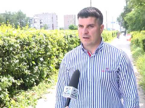 Ровная изгородь