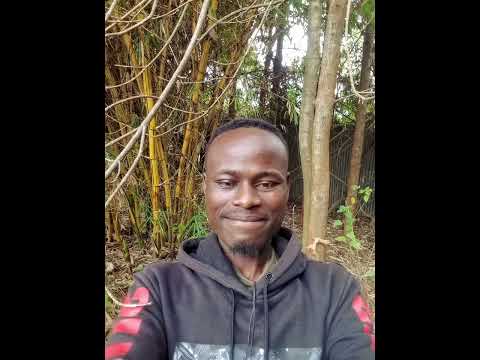 𝗕𝗲𝗮𝘁 𝗵𝗶𝗶 𝗶𝗹𝗶𝗻𝗶𝗯𝗮𝗺𝗯𝗮 𝗻𝗶𝗸𝗮𝘀𝗵𝗶𝗻𝗱𝘄𝗮 𝗸𝘂𝘄𝗮 𝗺𝗽𝗮𝘁𝗶𝗲𝗻𝘁 𝗻𝗮 𝗸𝘂 𝗳𝗹𝗼𝘄 𝗻𝗮𝗸𝗼 𝗺𝗮𝗻𝘇𝗲𝗲