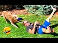 Best Funny Animal Videos 2022 😺 - Funniest Cats And Dogs Videos 😍😇