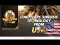 Cs3 introduction  cordyceps sinensis technology from usa