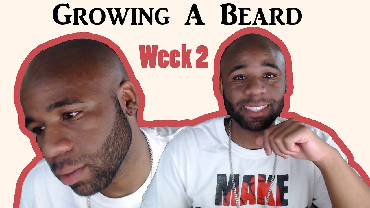 How To Grow A Beard Week 2 YouTube