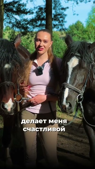 Конные прогулки СПб - YouTube