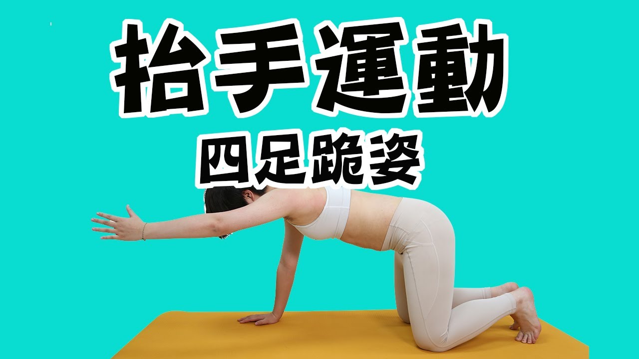 抬手運動:四足跪姿 - YouTube