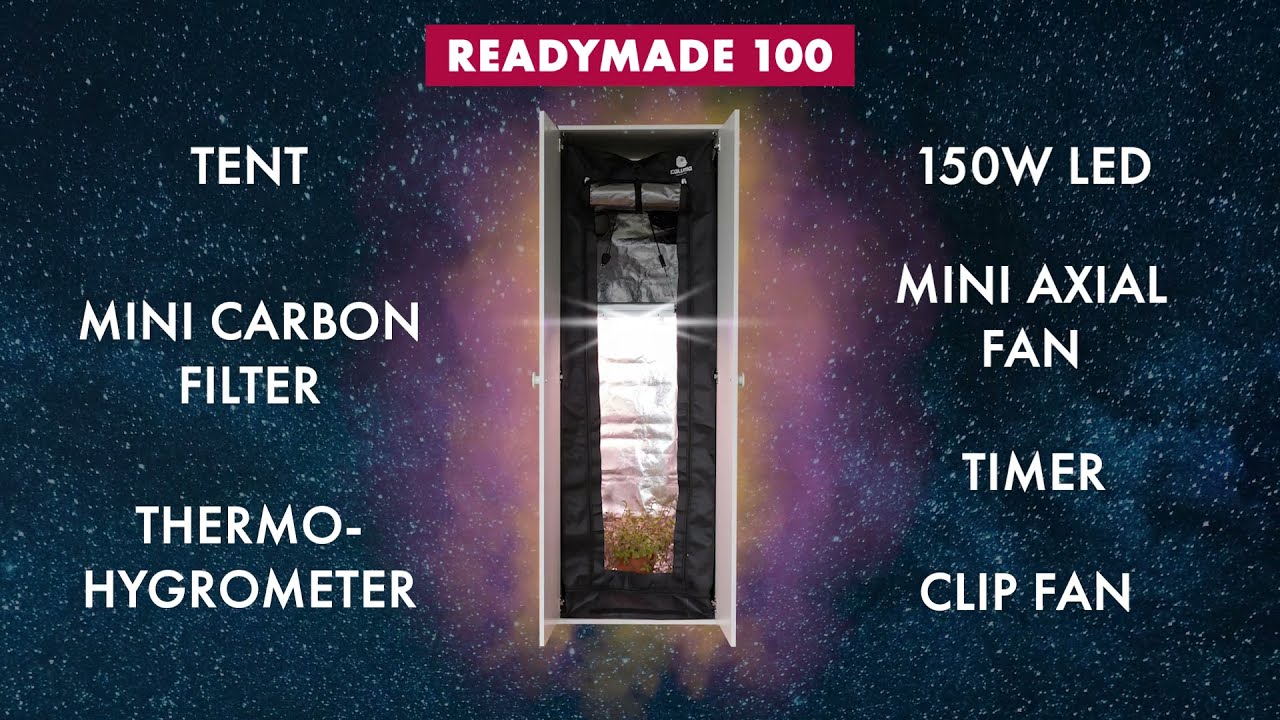 CALUMA READYMADE 100