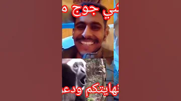 القائد الميداني جوج ماجوج يعرف الدموع ويقول الله غالب ويطلب العفو والحزن باين من دموعه 