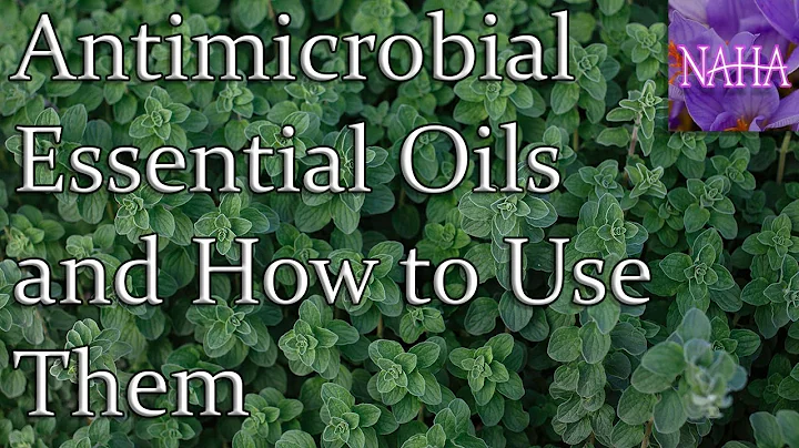 Antimicrobial Essential Oils and How to Use Them -...