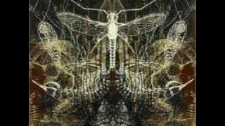 Download lagu Architects-Ruin-Always