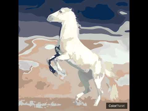 LIPIZZANER HORSE 🐎