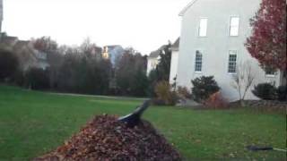 Epic Leaf Pile Jump