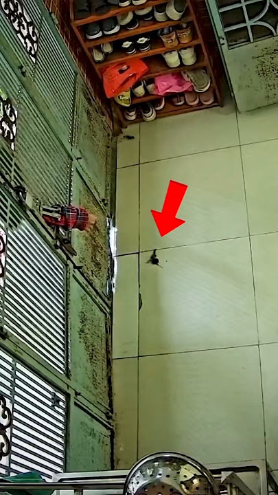 A Unique Incident Captured by CCTV Camera #cctv #cat #cutecat