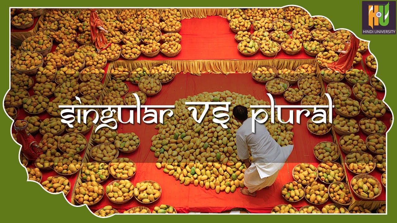 singular-vs-plural-in-hindi-01-youtube