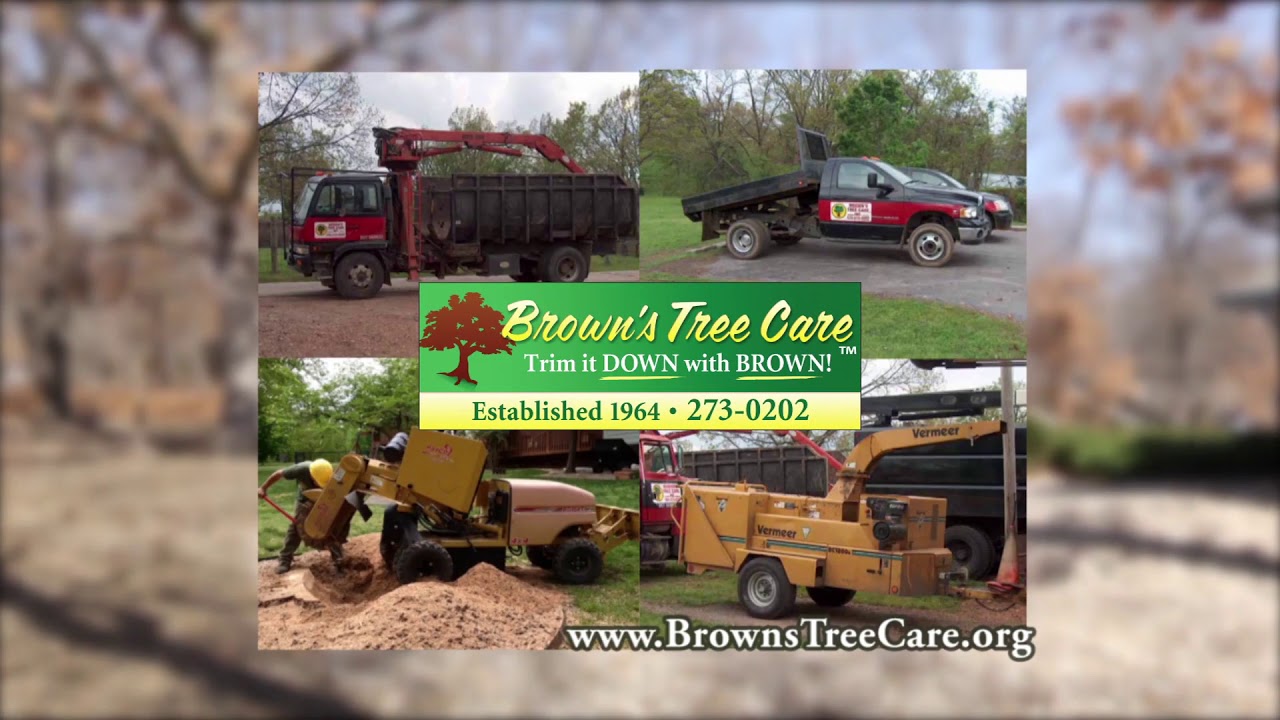 Browns Tree Care A Tale of Two Trees YouTube