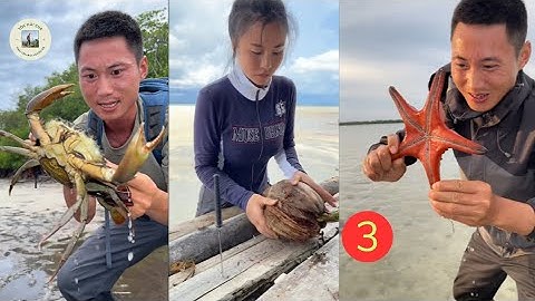 TRỌN BỘ FULL TẬP 3 : TÓC HÚI CUA THỬ THÁCH SINH TỒN HOANG ĐẢO RỪNG NHIỆT ĐỚI