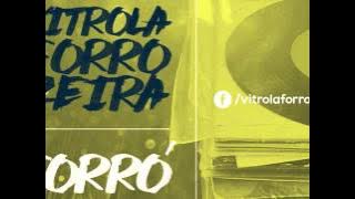 Dominguinhos - Meu Garanhuns | Vitrola Forrozeira - Forró pé de serra