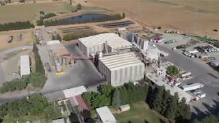 Rendering Plant