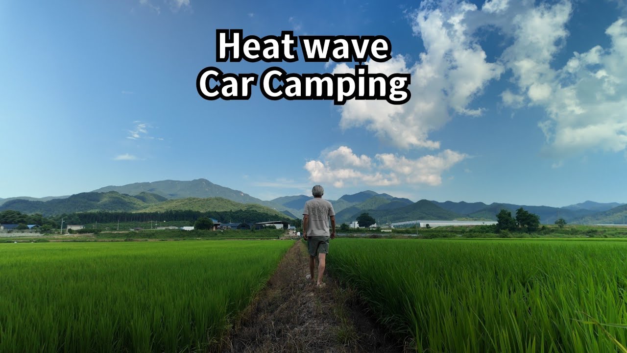 폭염경보 내린날 논 뷰가 위로가 되어준 솔로 차박 / 무더운 낮과 시원한 밤 사이 / 쏘렌토MQ4 차박 / Korean camping #189