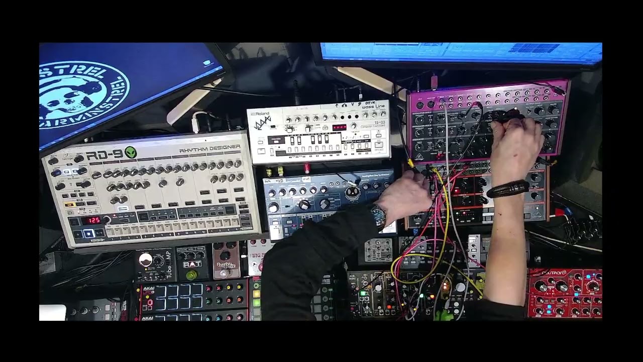 Warminstrel - Yangtrum