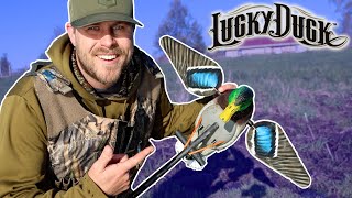 Lucky Duck HDI Review