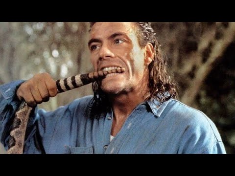 ESTRENO (2024) MEJOR PELICULAS DE ACCION Pelicula, Completa en Espanol Latino HD