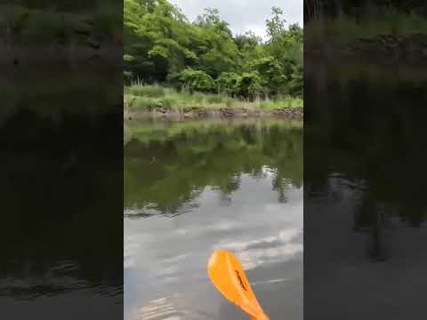青天井に変えた瞬間バイト