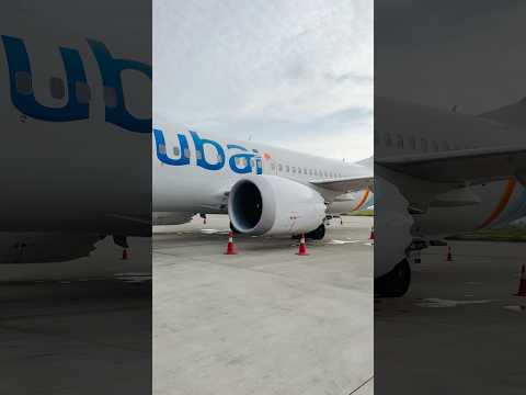 Fly Dubai Flydubai Flight Aviation Dubai 