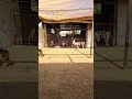 الشوب القطران