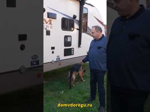 Видео: Продуманные мелочи для караванеров с животными #дом_на_колесах #автодом #domvdorogu #домнаколесах