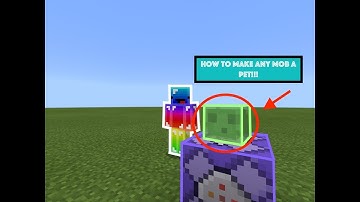 ✔️ How To Make Any Mob Follow You with One Simple Command: Minecraft Tutorial✔️