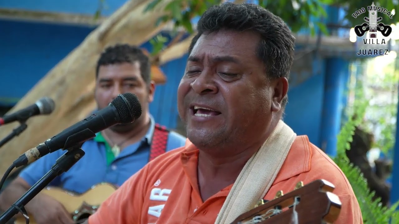 Hoy la vi pasar Trio Villa Juarez