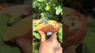 Potato Peel Quick Skill