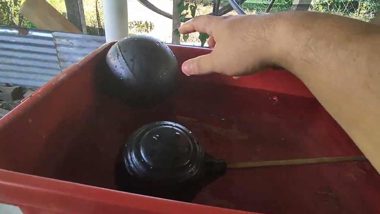 Bekas Makanan Dan Minuman Arnab AUTOMATIK