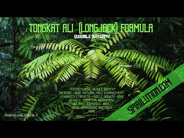 (Healing Music)★Tongkat Ali - Longjack Formula★(Testosterone - Natural Male Enhancement Aphrodisiac) class=