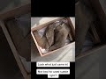 Luxury Suede Booties Unboxing! Ready to Style and Show Off #unboxing