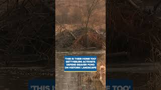 Gettysburg activists defend controversial beaver pond | Is it time to ditch daylight saving in PA?