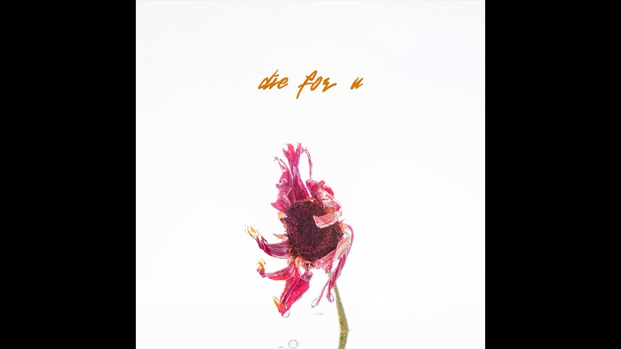 Garrett Goodman - die for u (official lyric video) adlı videoyu YouTube'da izle Garrett Goodman - die for u (official lyric video) adlı videoyu YouTube'da izle