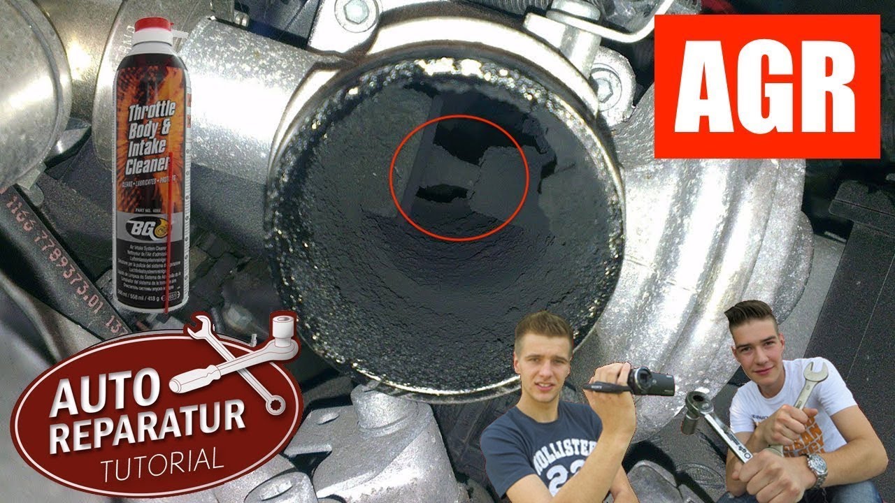 Cleaning the EGR valve, Dieselgeek